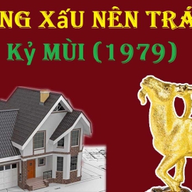 Xem tuổi Kỷ Mùi 1979 xây nhà hợp hướng nào nhất?
