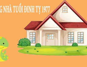 Tuổi 1977 xây nhà hợp hướng nào? (Hướng tốt làm nhà)