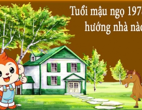 Tuổi 1978 xây nhà hợp hướng nào? (Hướng nhà tuổi Mậu Ngọ)